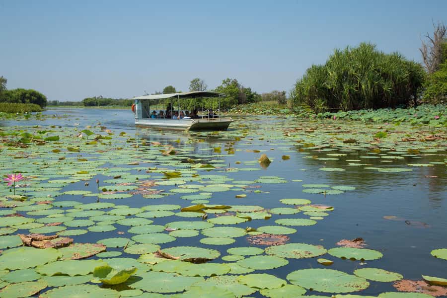Darwin: Mary River Wetlands Wildlife Cruise with Lunch - Key points to know before you go