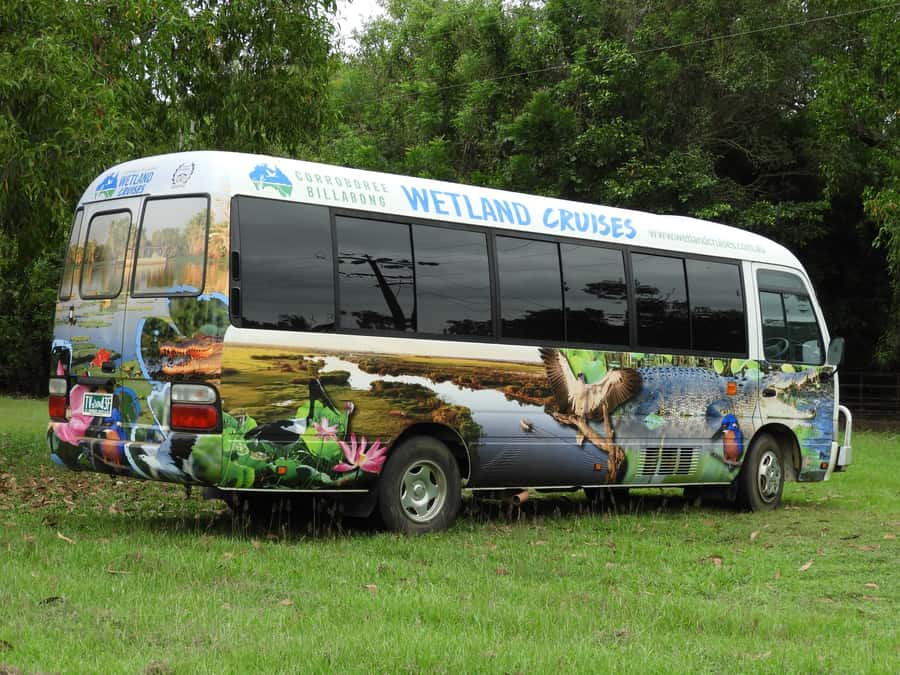 Darwin: Mary River Wetlands Wildlife Cruise with Lunch - Why this wetland trip works so well from Darwin