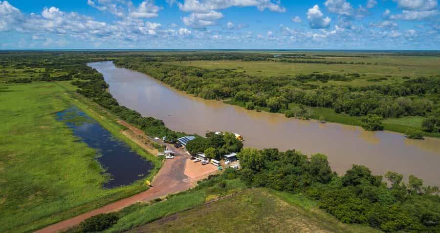 Darwin: Spectacular Jumping Crocodile Adelaide River Cruise - Why this Darwin crocodile cruise is worth your time