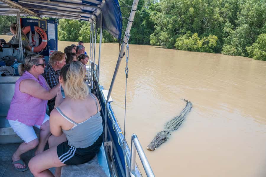 Darwin: Spectacular Jumping Crocodile Adelaide River Cruise - Boarding the covered boat