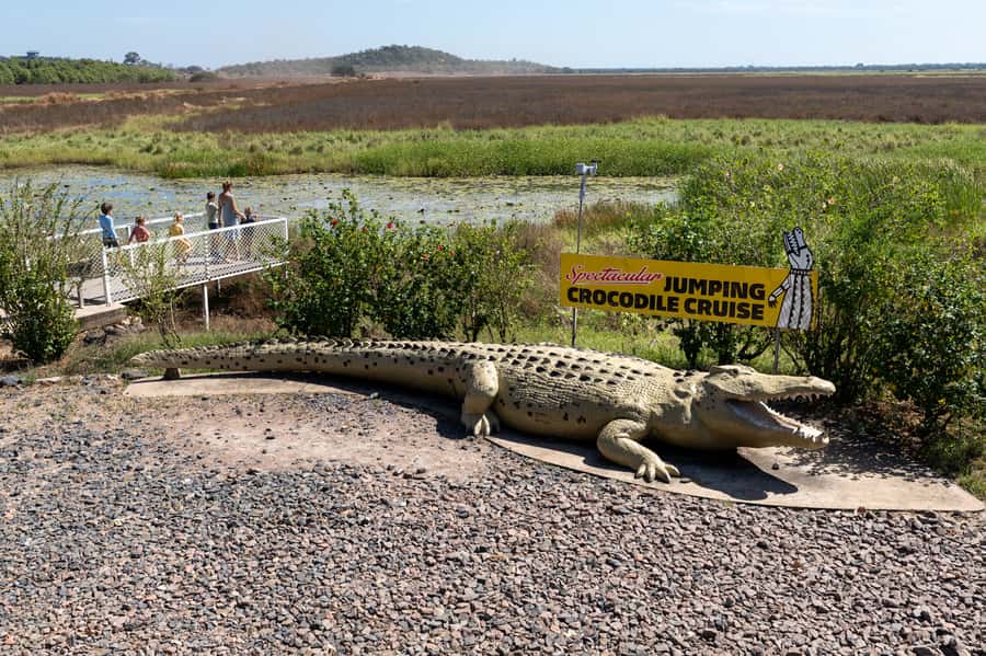 Darwin: Spectacular Jumping Crocodile Adelaide River Cruise - The Indigenous-owned side of the experience