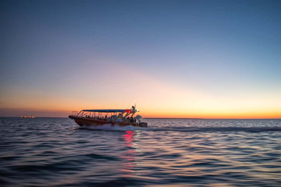 Darwin: Sunset Harbour Cruise with Fish and Chips Dinner - What the guides add to the evening