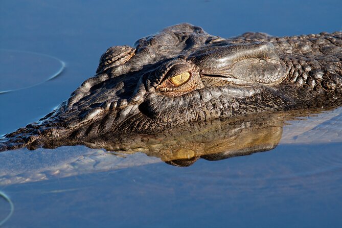 Darwin to Kakadu Day Trip by Air Including Yellow Water Cruise - The scenic flight over Kakadu