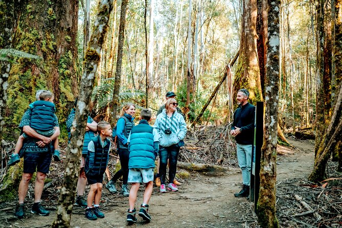 Day Tour in Mt. Field, Mt. Wellington, Bonorong Wildlife Sanctuary and Richmond - The drive beside the Derwent River