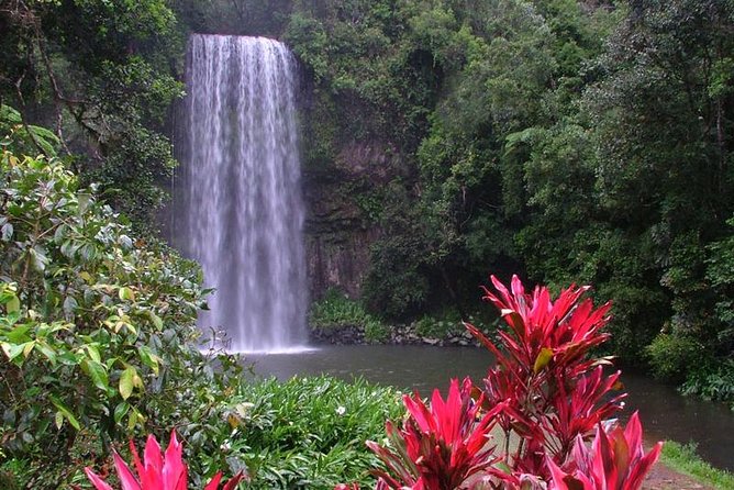 Day Tour to Paronella Park, Lake Barrine and Millaa Millaa Falls - Why this Atherton Tablelands day trip works