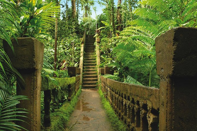 Day Tour to Paronella Park, Lake Barrine and Millaa Millaa Falls - Millaa Millaa Falls: the day’s best chance to get wet