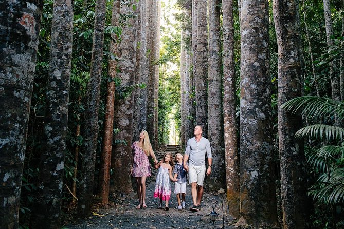 Day Tour to Paronella Park, Lake Barrine and Millaa Millaa Falls - Leaving Cairns beneath Walsh’s Pyramid