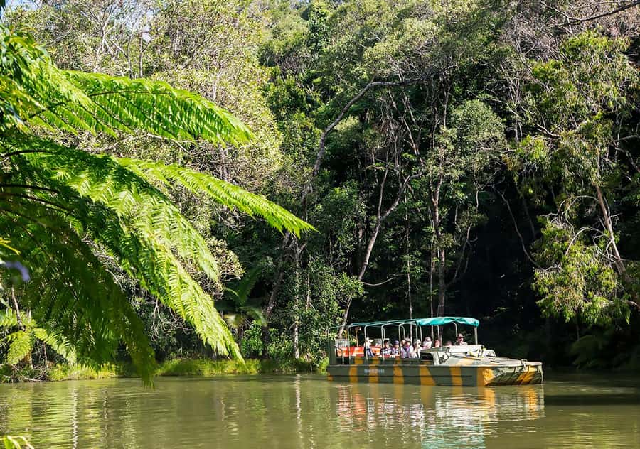 Day Trip: Rainforest & Aboriginal Culture Tour - Pamagirri’s Dreamtime Walk and cultural demonstrations