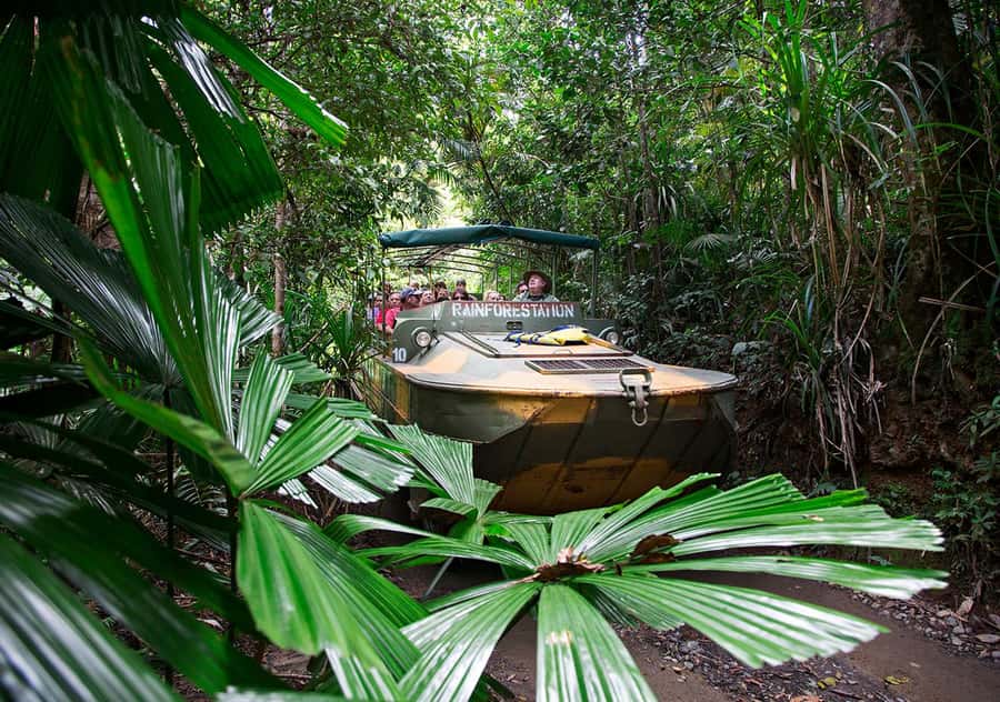 Day Trip: Rainforest & Aboriginal Culture Tour - Tropical treats and a buffet lunch