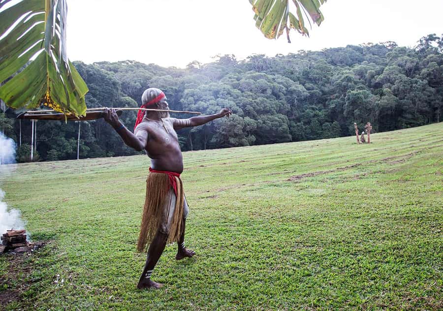 Day Trip: Rainforest & Aboriginal Culture Tour - Who will enjoy this day most?
