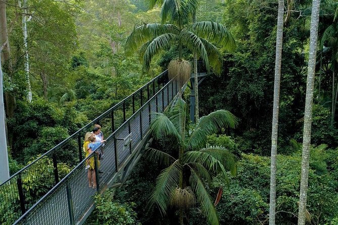 Deluxe Springbrook & Mt Tamborine Glow Worms and famous Skywalk - Key points at a glance