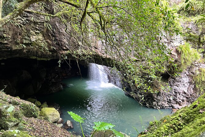 Deluxe Springbrook & Mt Tamborine Glow Worms and famous Skywalk - Hinze Dam gives you an easy start
