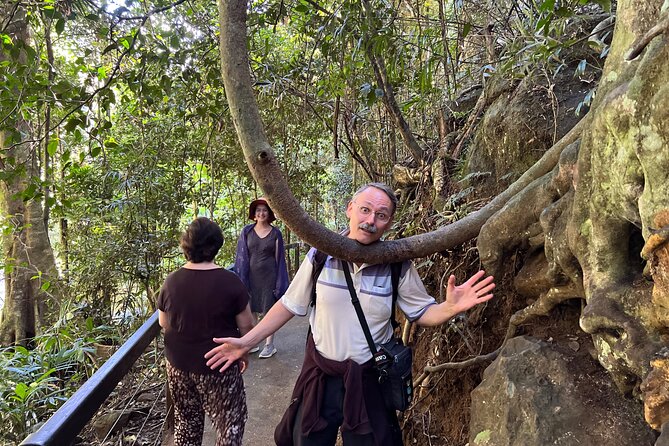 Deluxe Springbrook & Mt Tamborine Glow Worms and famous Skywalk - Natural Bridge is the day’s strongest nature stop