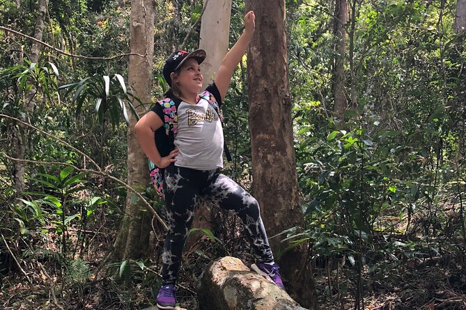 Deluxe Springbrook & Mt Tamborine Glow Worms and famous Skywalk - Gallery Walk adds a little town time