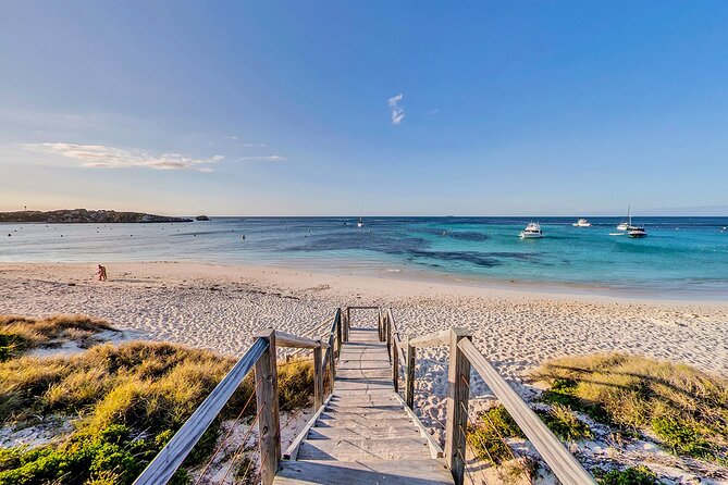 Discover Rottnest with Ferry & Bus Tour - Free time for beaches, bikes, and museums