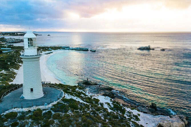 Discover Rottnest with Ferry & Bus Tour - Reaching Rottnest and finding the quokkas