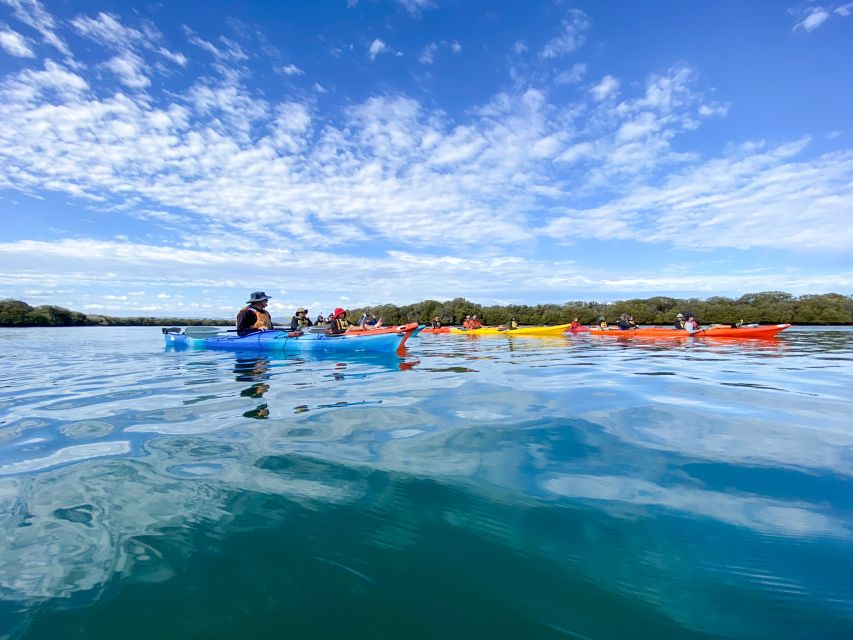 Dolphin Sanctuary and Ships Graveyard Kayak Tour - Practical ways to make the outing better