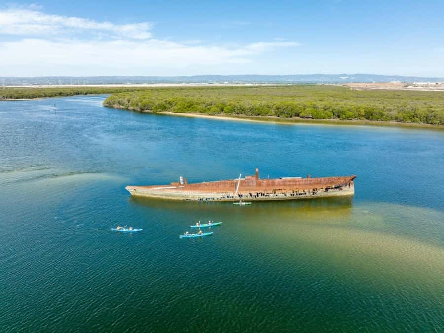 Dolphin Sanctuary and Ships Graveyard Kayak Tour - Why this Port Adelaide paddle is worth your morning