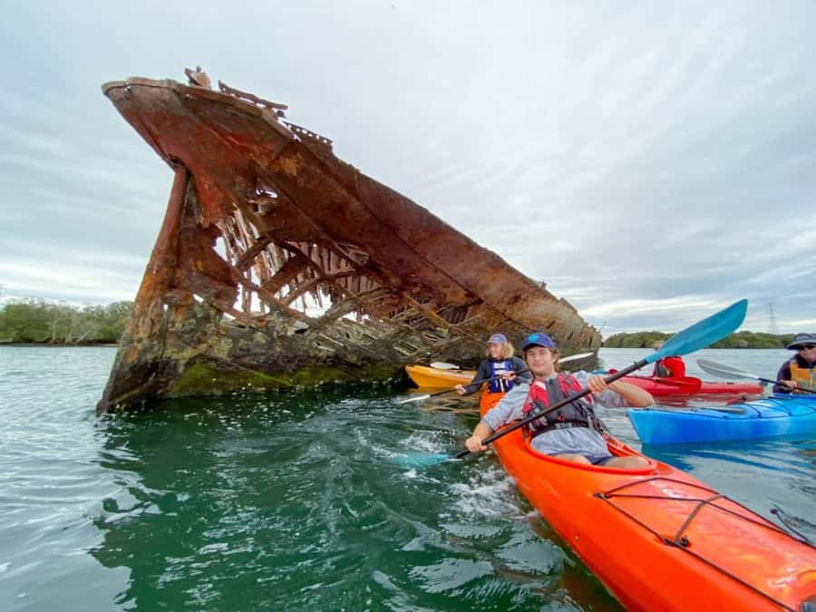 Dolphin Sanctuary and Ships Graveyard Kayak Tour - Starting at Garden Island Boat Ramp