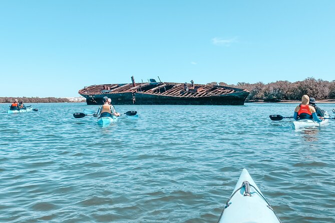 Dolphin Sanctuary Kayak Tour Adelaide - Looking for dolphins in an open sanctuary