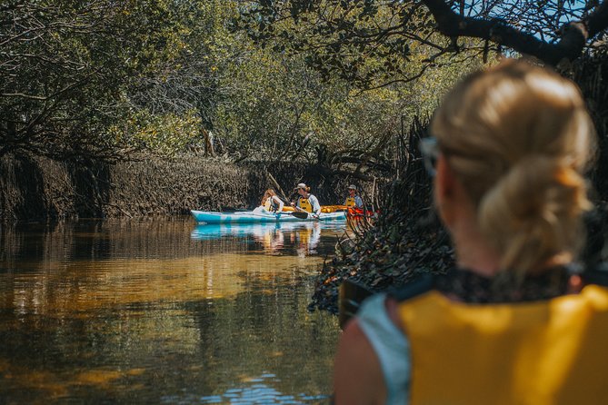 Dolphin Sanctuary Kayak Tour Adelaide - The guides make a real difference