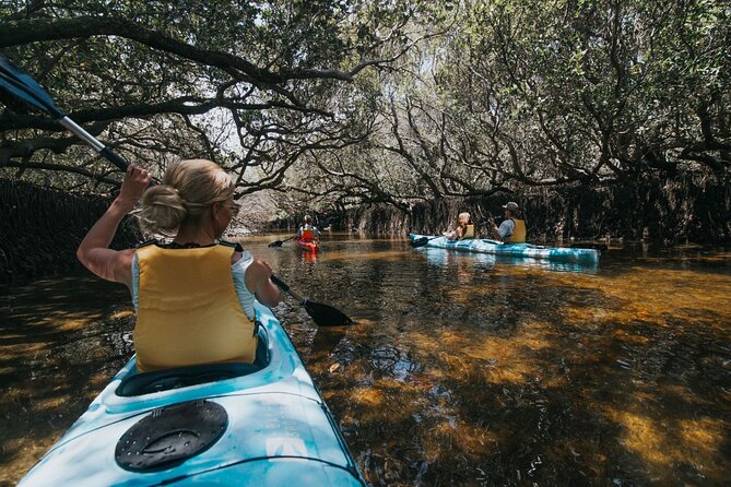 Dolphin Sanctuary Kayak Tour Adelaide - The first paddle: calm water and basic instruction