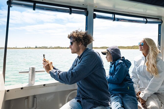 Dolphin, Sea Lion and Penguin Island Cruise - What makes the dolphin sightings special