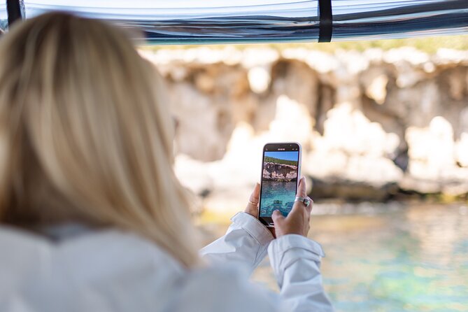 Dolphin, Sea Lion and Penguin Island Cruise - The glass-bottom boat question