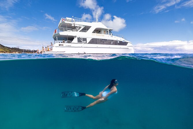 Dolphin & Tangalooma Wrecks Snorkel Cruise & Lunch - Brisbane - Key points before you book