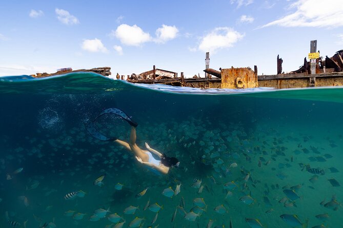 Dolphin & Tangalooma Wrecks Snorkel Cruise & Lunch - Brisbane - Crew, safety, and the feel of the boat