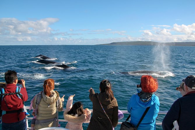 Dunsborough Whale Watching Eco Tour - Key points to know before you go
