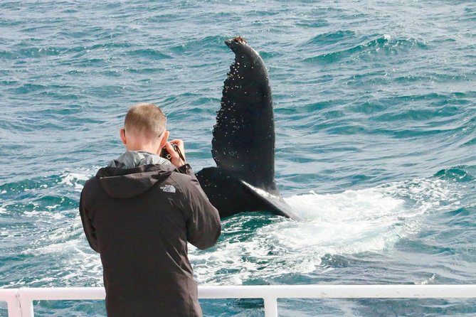 Dunsborough Whale Watching Eco Tour - Who will enjoy this tour most?