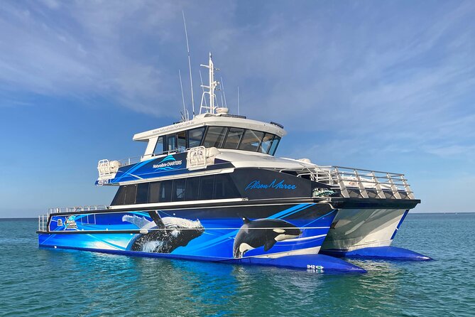 Dunsborough Whale Watching Eco Tour - What the two-and-a-half-hour trip feels like