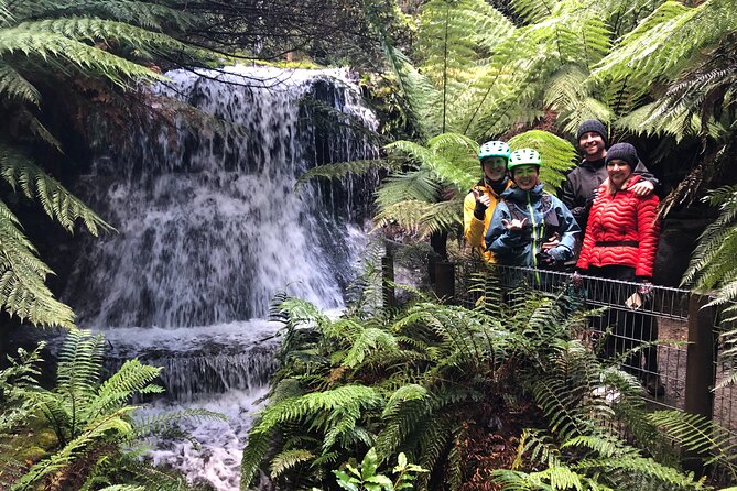 Easy Bike Tour - Mt Wellington Summit Descent & Rainforest Ride - Why this Mt Wellington ride deserves a place in your Hobart plans