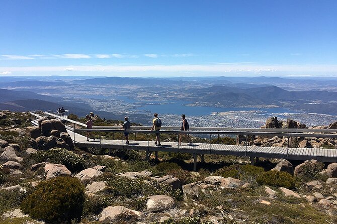 Easy Bike Tour - Mt Wellington Summit Descent & Rainforest Ride - What the guides do well