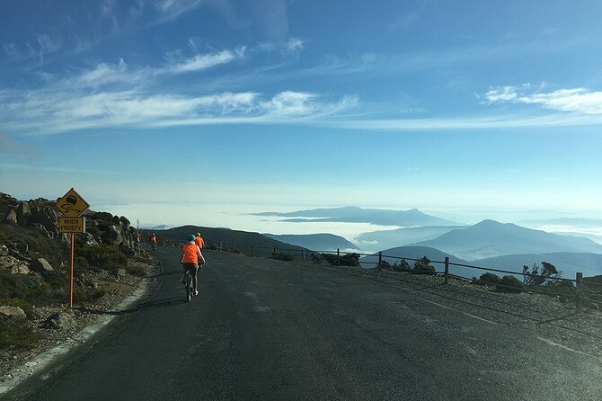 Easy Bike Tour - Mt Wellington Summit Descent & Rainforest Ride - Mt Wellington weather is part of the experience