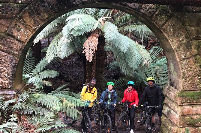 Easy Bike Tour - Mt Wellington Summit Descent & Rainforest Ride - Is $121.21 a fair price?