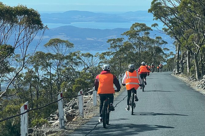 Easy Bike Tour - Mt Wellington Summit Descent & Rainforest Ride - Who should book this ride?