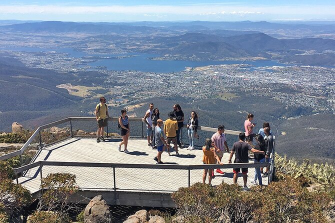 Easy Bike Tour - Mt Wellington Summit Descent & Rainforest Ride - A short break at Lost Freight Cafe