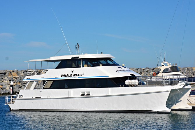 Educational Whale Watching Tour from Perth - Quick points before you book