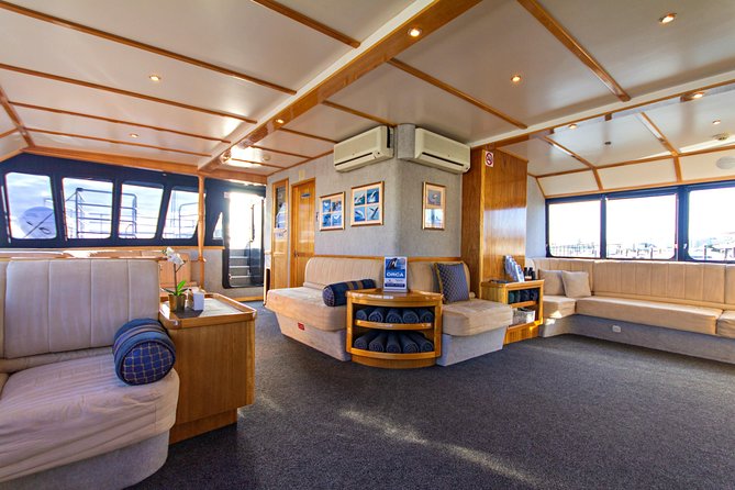 Educational Whale Watching Tour from Perth - Is $68.14 good value?