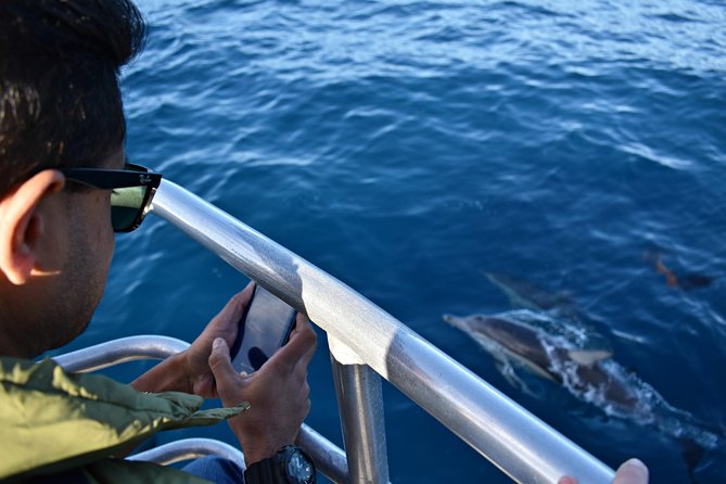 Educational Whale Watching Tour from Perth - Should you book the Perth whale-watching tour?