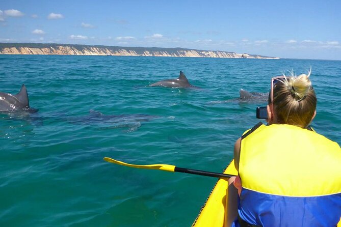 Epic Kayak With Dolphins & Wildlife - 4WD Beach Adventure Noosa - From Noosa to the ferry and North Shore