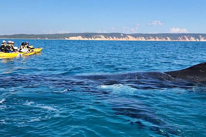 Epic Kayak With Dolphins & Wildlife - 4WD Beach Adventure Noosa - Double Island Point and the start of kayaking