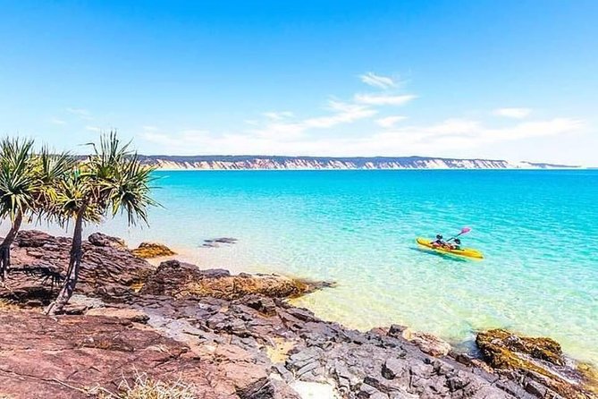 Epic Kayak With Dolphins & Wildlife - 4WD Beach Adventure Noosa - Price, group size, and booking flexibility