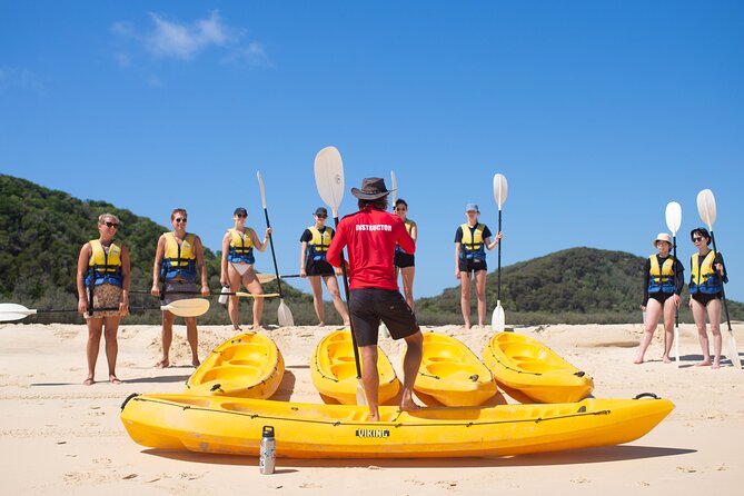 Epic Kayak With Dolphins & Wildlife - 4WD Beach Adventure Noosa - Should you book the 4WD and kayak tour?