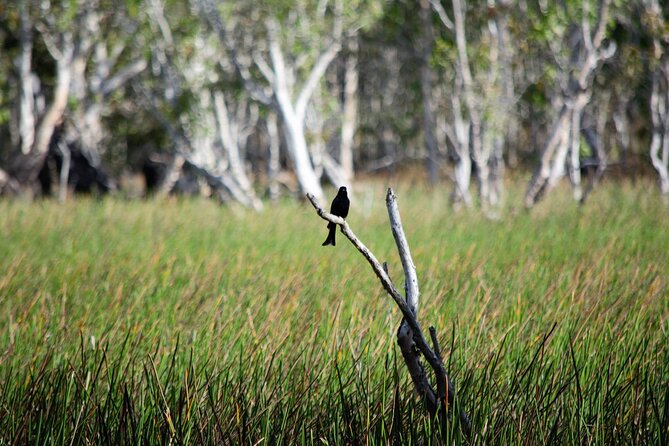 ETHICAL ADVENTURES - 1 Day premium Litchfield tour, small group - Berry Springs: the right start in the dry season