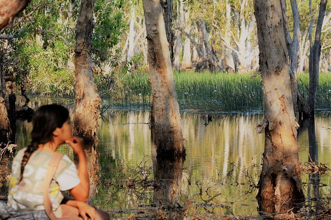 ETHICAL ADVENTURES - 1 Day premium Litchfield tour, small group - The food is far better than standard tour fare