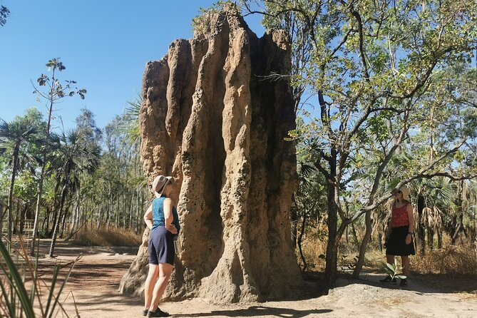 ETHICAL ADVENTURES - 1 Day premium Litchfield tour, small group - Is $204.41 good value?