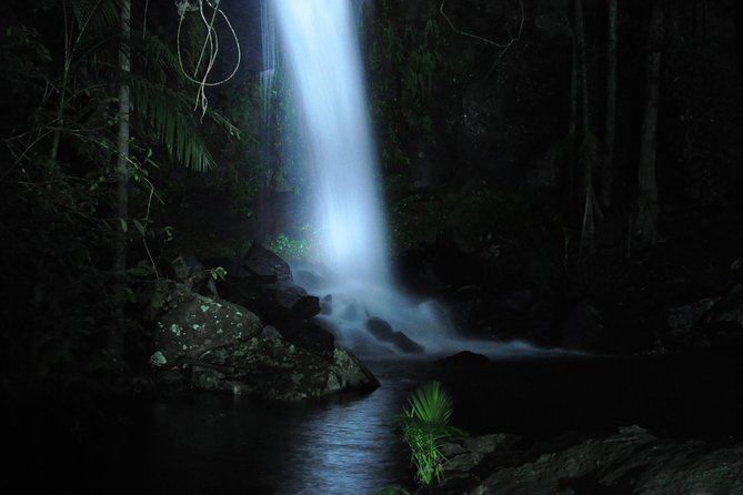 Evening Rainforest & Glow Worm Tour from Gold Coast - Cake and a hot drink at the mountain café
